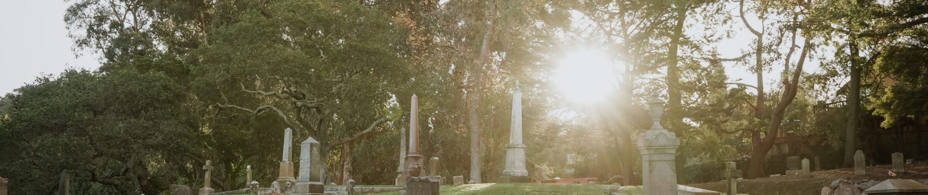 Des arbres dans un cimetière avec le soleil qui brille à travers lui.